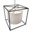 Kitzi 6 - Light Chandelier
