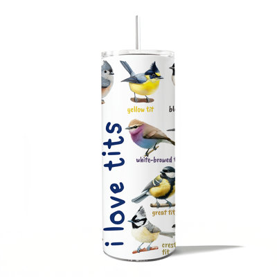 Verre à whisky personnalisé avec couvercle et paille en acier inoxydable 20 oz Whimsical Bird Tit