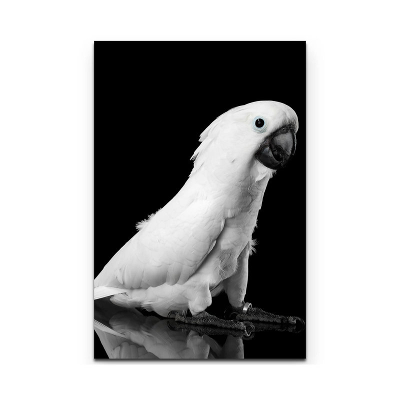 Wrapped Canvas Print, 90cm L x 60cm W