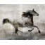 Quick Step Print by Chelsea Art Studio-26926886-26926887