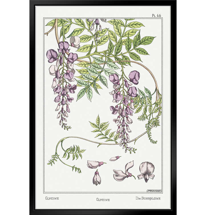 https://assets.wfcdn.com/im/67289194/resize-h755-w755%5Ecompr-r85/1970/197066585/Wisteria+Framed+On+Canvas+by+Stanley+Print+House+Print.jpg
