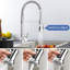 Williston Forge Kitchen Faucet