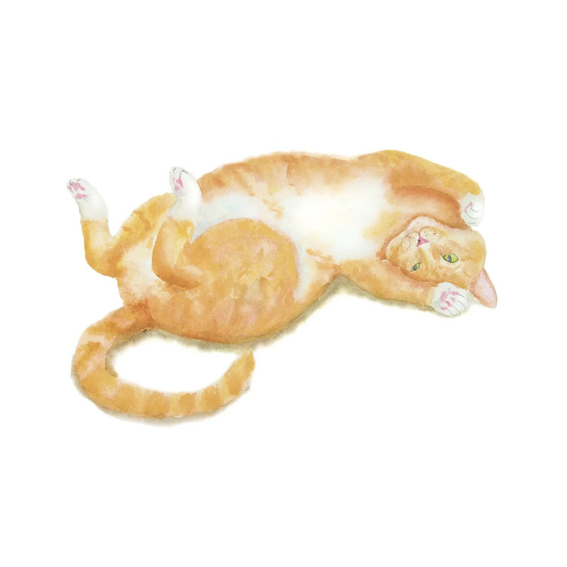 Lying Orange Cat by Alexey Dmitrievich Shmyrov - Wrapped Canvas Print, 20.32 cm H x 30.48 cm W