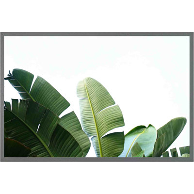 Sushant Banana Leaves - Single Picture Frame Print