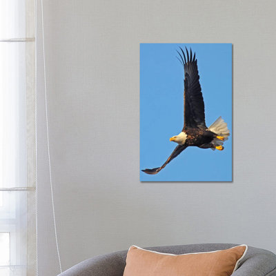 Soaring 1 Piece Wrapped Canvas Wall Art