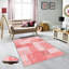 Indoor Rug-1992221217