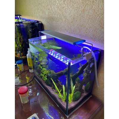 Aquarium Lighting Plante aquatique à lumière multicolore extensible