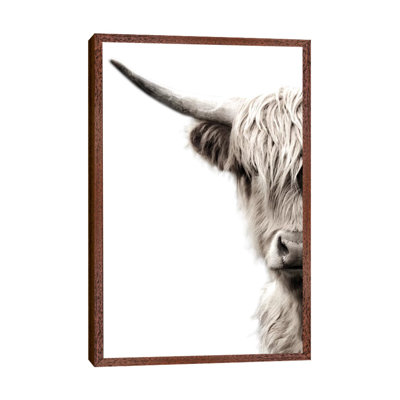 Highland Cattle by Danita Delimont - Print on Canvas