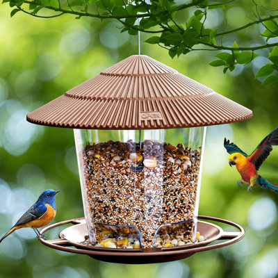 Mangeoire suspendue pour oiseaux sauvages, extérieur, brun