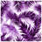 Palm Leaf Shadows Comforter-125060102-134529326