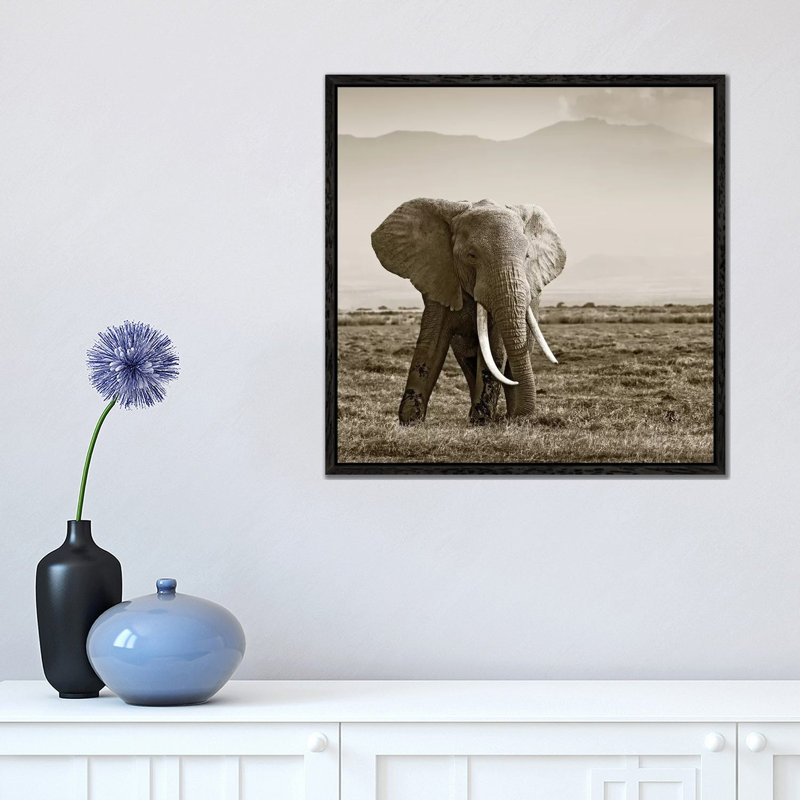 Big Tusked Elephant by Klaus Tiedge - Print on Canvas, 45.72 cm H x 45.72 cm W, Black Framed