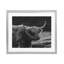 «Bold Scottish Highland», reproduction d'art sous verre encadrée, design par Crystal Lynn Collins-822532619-822532623