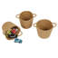 Great Little Trading Co. Toy Organiser