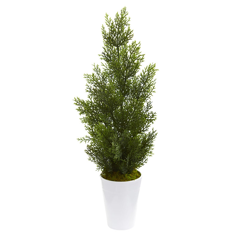 Cèdre artificiel 20,5 "en pot de fleurs, Rouge