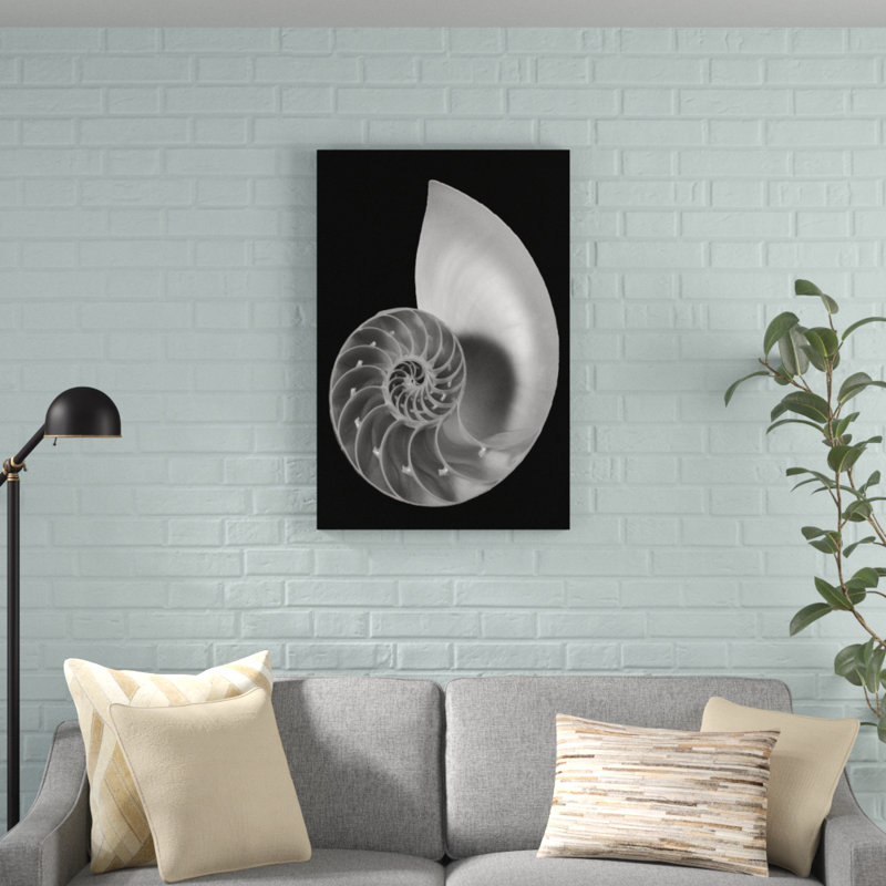 Shell II by Jim Christensen - Wrapped Canvas Graphic Art Print, Wrapped Canvas, 91cm H x 61cm W