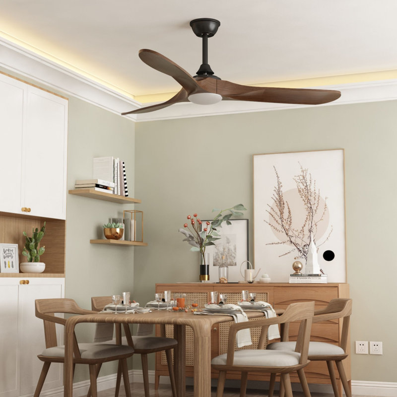 Ventilateur de plafond avec lumières DEL Blairsburg