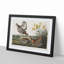 Pinnated Grouse Birds by John Audubon - Framed Print-55616507-55616508