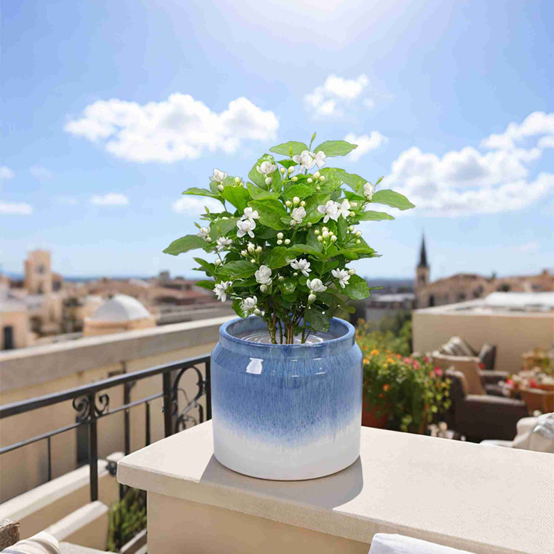 High-quality ceramic flower pots, White/Blue