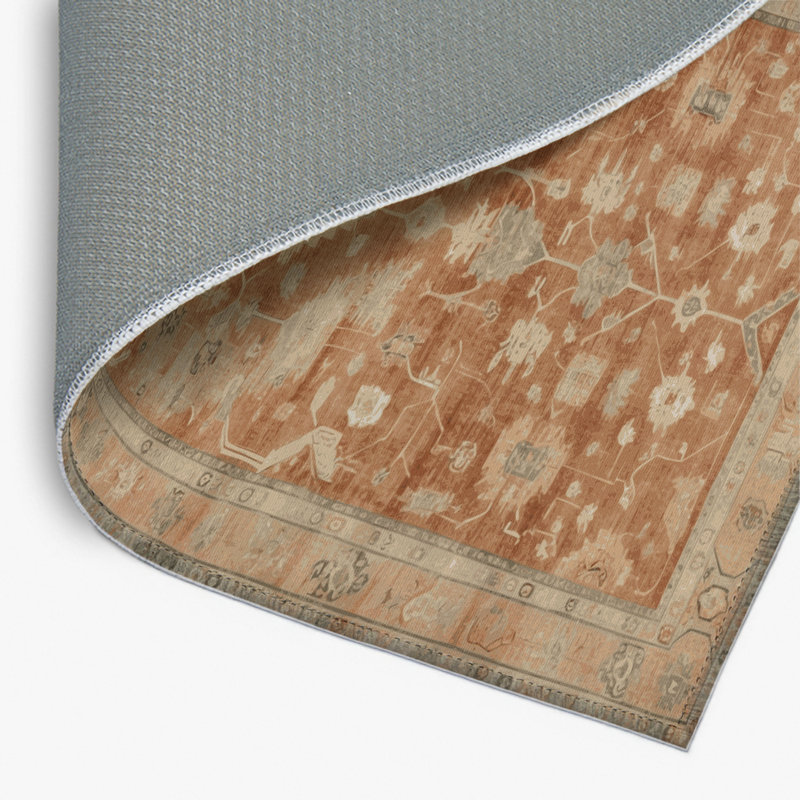 Tapis intérieur et extérieur brun Overdyed, Rectangulaire 2 pi x 3 pi