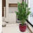 Red Ceramic Planter Of 3 For Patio, Garden Or Windowsill, Modern Design With Glossy Finish, All-Weather , Drainage Hole Plant Growth, 14.69 Inches Wide, Deep, 13.08 High, 49.01 Pounds Flowerpots-574032372-574032369