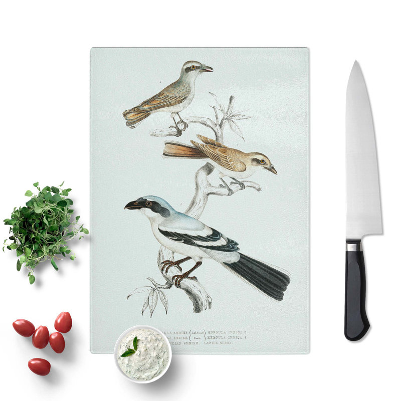 Tempered Glass Shrike Bird Illustrations by John Edward Gray Chopping Board, 20 cm x 28.5 cm