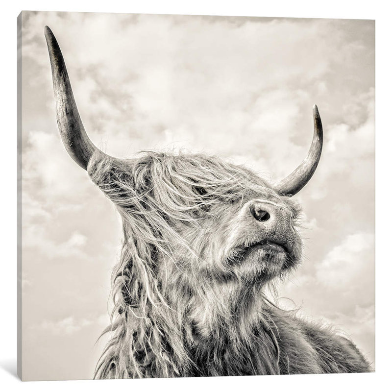 Magnificence I by Mark Gemmell - Wrapped Canvas Print, 45.72 cm H x 45.72 cm W x 1.91 cm D