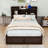 Dyonne Platform Storage Bed-1858873522