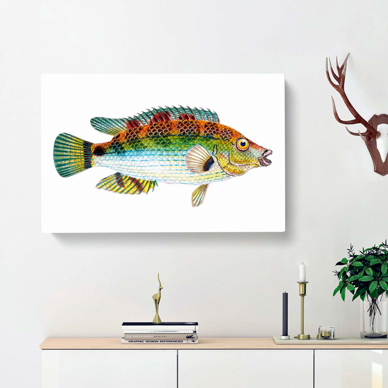 Goldfinny Fish by Edward Donovan - Wrapped Canvas, 40cm H x 60cm W x 3cm D