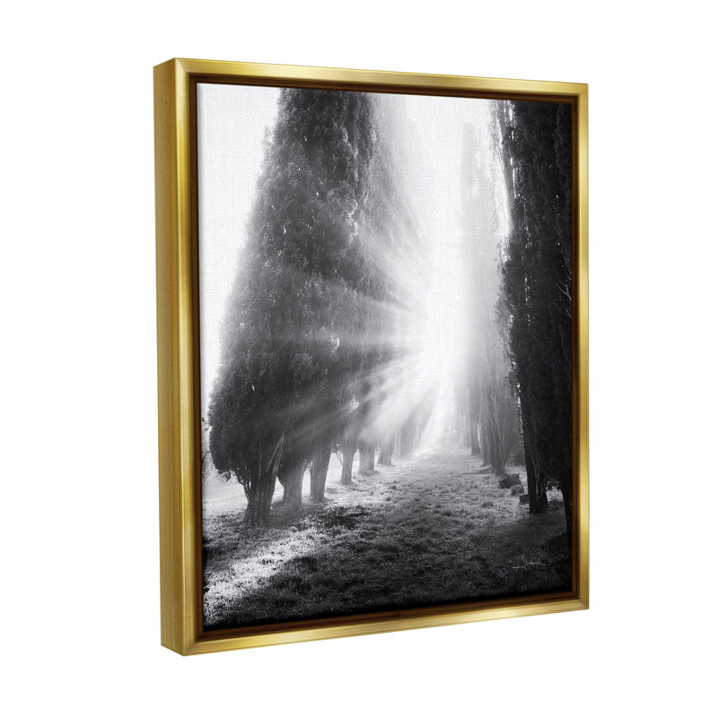"Sun Rays & Hedge Grove Floater Frame" par Aledanda sur toile, Cadre flottant métallique doré, H 21 po x l 17 po
