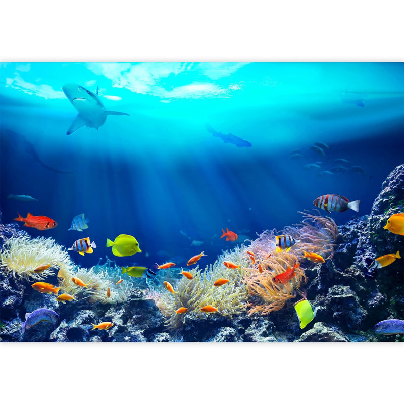 Canyon Home Decor, L 100 po x l 144 po