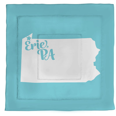 Pennsylvania Modern & Contemporary Polyester Percale Comforter