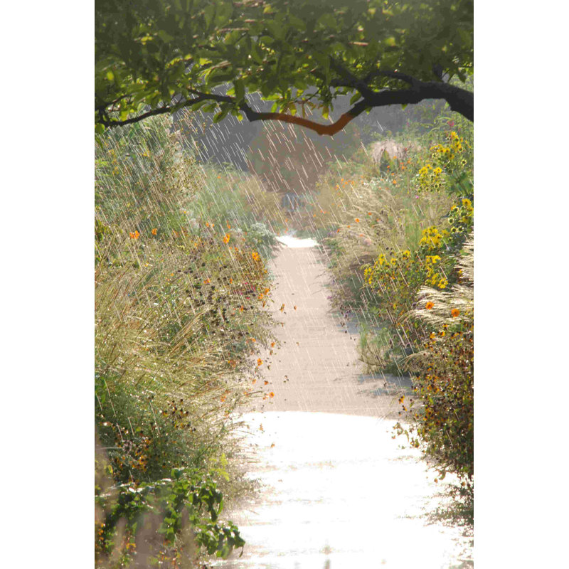 Rainy Concrete Path, photographie sur toile tendue, H 12 po x l 8 po