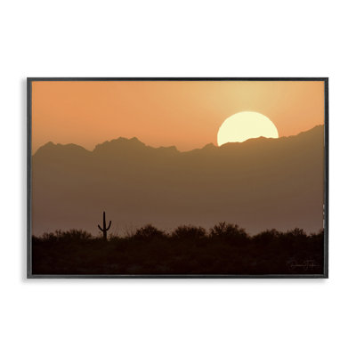 Cactus du soleil ensoleillé, estampe numérique par Dennis Frates