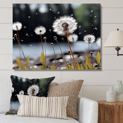«White Black Dandelion Whispers I», reproduction sur toile