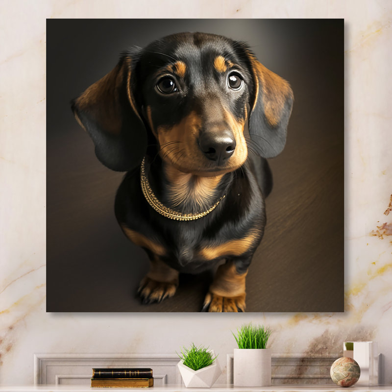 " Daschund Portrait ", 36" H x 36" W x 1.5" D, Wrapped Canvas