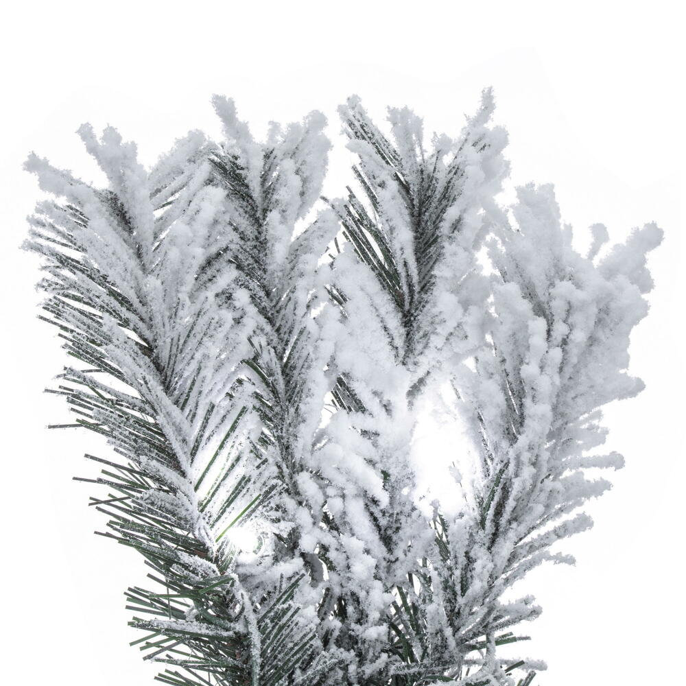 Pfeiffer 36' Lighted Artificial Pine Christmas Tree