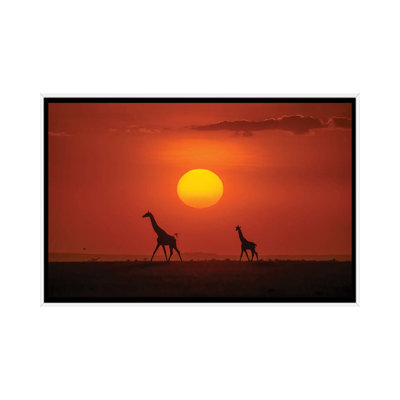 Giraffes In The Sunset by Hua Zhu - Floater Frame Print on Canvas
