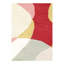 Abstract Area Rug in Miss