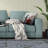 Outdoor Reversible Throw Pillow-99200137