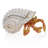 OCEAN COLLECTION Metal Decorative Box