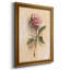 Painterly Rose Study II, toile encadrée de qualité supérieure - prête à être accrochée-1581971111
