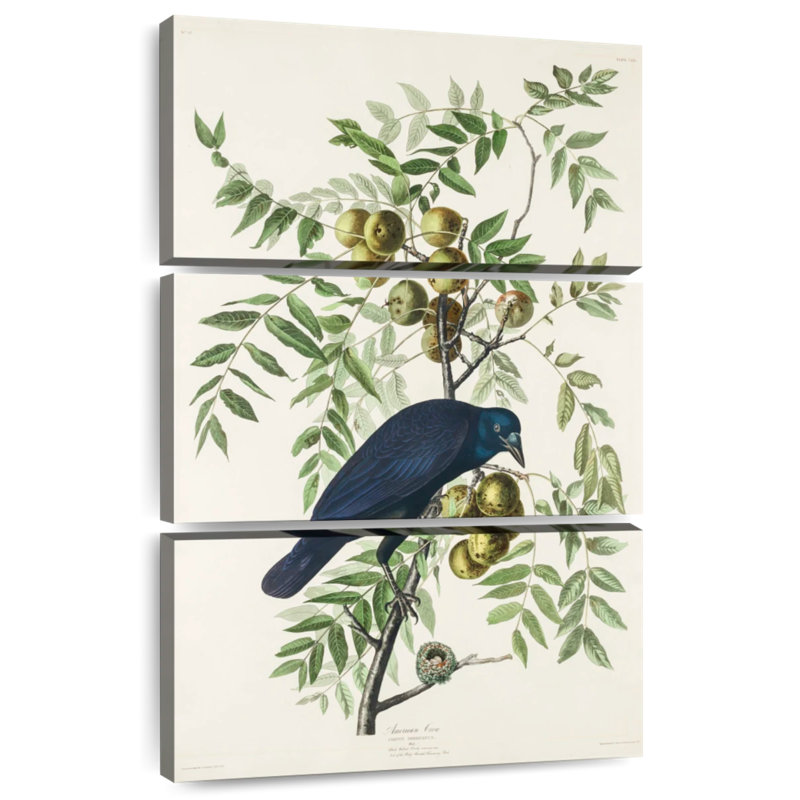 Brampt American Crow, 74" H x 48" W