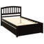 Walnut Twin Platform Bed With Collapsible Trundle - Space Efficient Wood Construction Size Breathable And Chic Design-2018224836