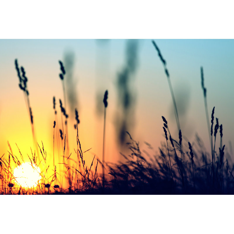 Evening Meadow Background - Wrapped Canvas Print, 20cm H x 30cm W x 3.8cm D