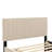Velvet Upholstered Platform Bed with Trundle-106492948-112511389