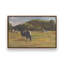«Resting Cows I» par Stephen Calcasola, reproduction d'art sur toile-1796177008-1796177806-1796177021