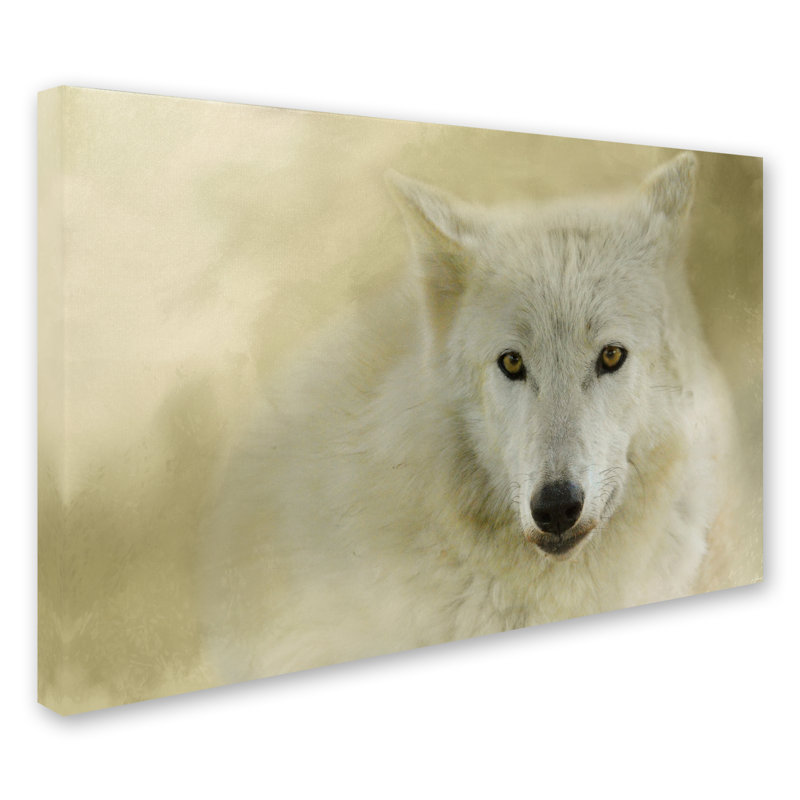 'Portrait of a Timber Wolf' Graphic Art Print on Wrapped Canvas, 30" H x 47" W