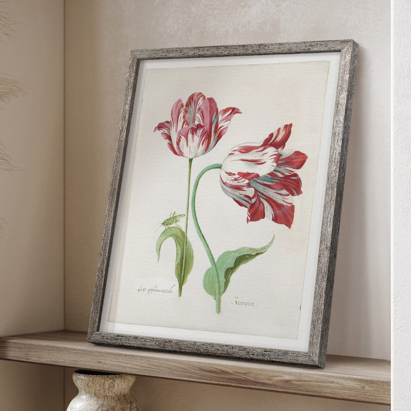 Deux tulipes II, reproduction encadrée - bois massif 50545, H 21 po x l 17 po