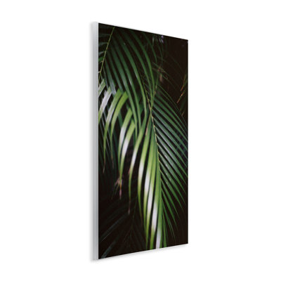 Plaque murale «Palm Leaves Weaving Together» par Jade Sharp Photo