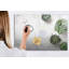 Magnetic Glass Dry Erase Board